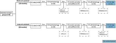 Guided Gradual Egg-Tolerance Induction in Hen's Egg Allergic Children Tolerating Baked Egg: A Prospective Randomized Trial